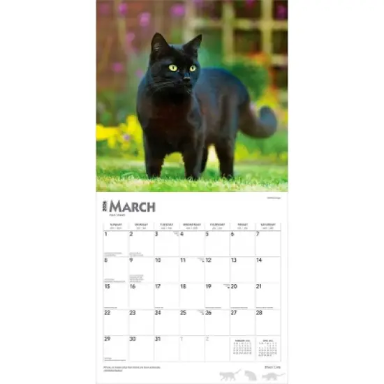 BrownTrout Black Cats 2026 12"x24" Hanging Square Wall Calendar Plastic-Free image {2}