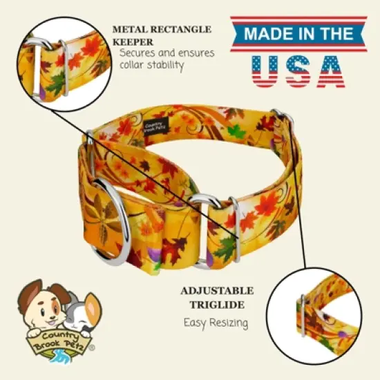 Country Brook Petz HossFit Jr Wide Martingale Dog Collar - Awesome Autumn Collection image {5}