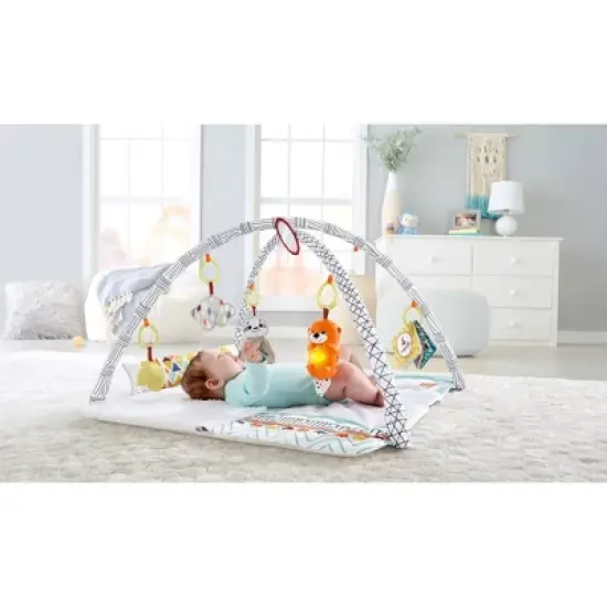 Fisher-Price Perfect Sense Deluxe Gym image {1}