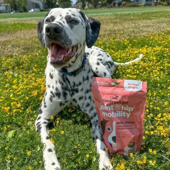 Ready Pet Go Joint & Hip Mobility Chews for Dogs, With Glucosamine Chondroitin MSM, Turmeric & Hyaluronic Acid, Grilled Chicken Flavor, 60 or 90ct image {6}
