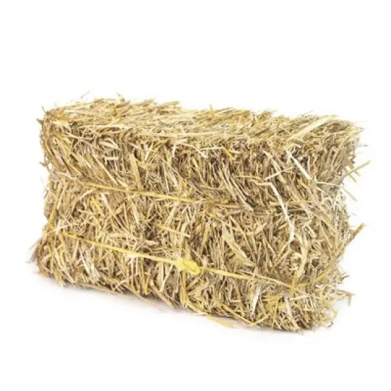 Firewood Central Mini Straw Bale by Morning View Acres &ndash; Natural Wheat Straw for Gardening, Pet Bedding, Seeding & Decor (12"x4"x6", 2lb) image {6}