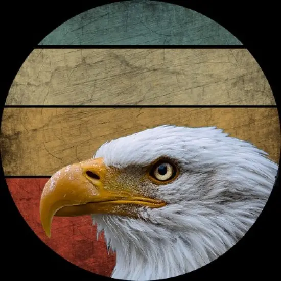 Men's Design By Humans Vintage Eagle Watching By punsalan Tank Top image {1}