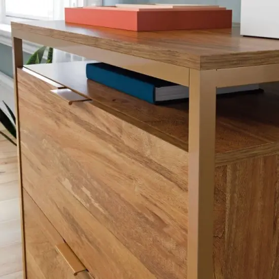 2 Drawer International Lux Lateral File Cabinet Sindoori Mango - Sauder image {3}