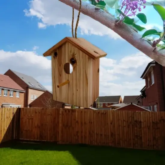 5 Star Super Deals See Through Wooden Window Bird house w/ Large Suction Cups, Hanging Lanyard Rope Birdhouse - Spy Window Nest Box image {7}