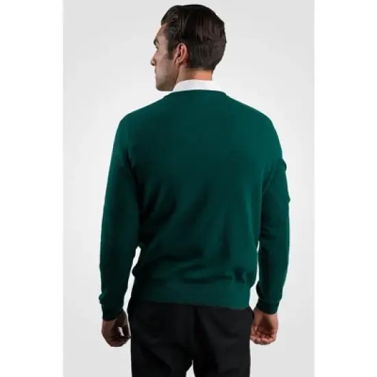 JENNIE LIU Men's 100% Pure Cashmere Long Sleeve Pullover Crewneck Sweater image {1}