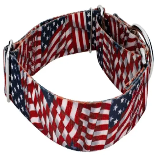 Country Brook Petz 1 1/2 Inch Patriotic Tribute Martingale Dog Collar image {4}