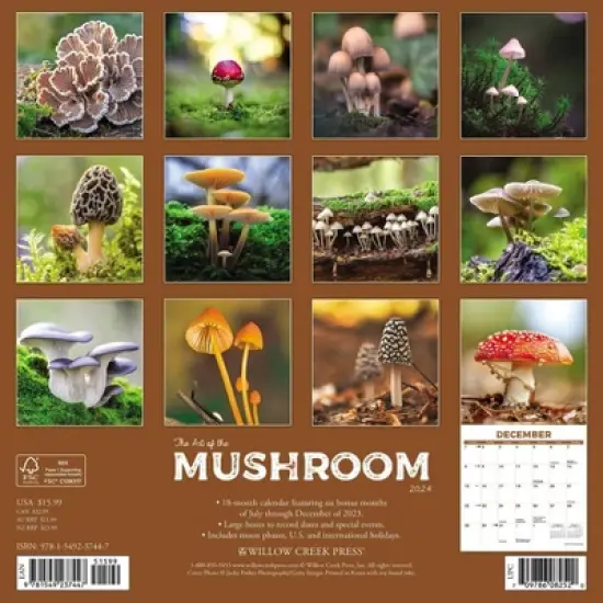 Willow Creek Press 2024 Wall Calendar 12"x12" The Art of the Mushroom image {1}