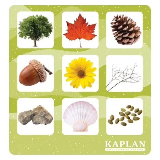 Kaplan Early Learning Shadow Matching and Memory Game image {1}