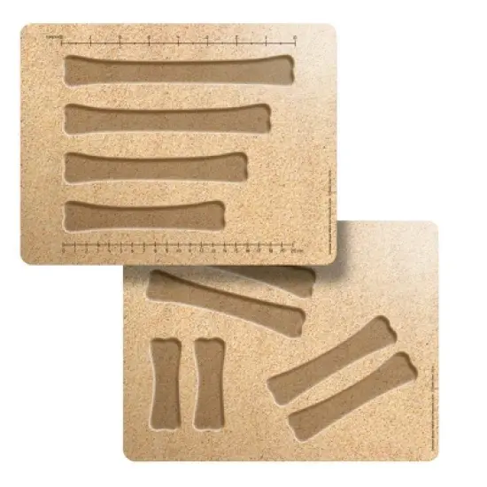 Yellow Door Dinosaur Bones Match & Measuring Cards image {1}