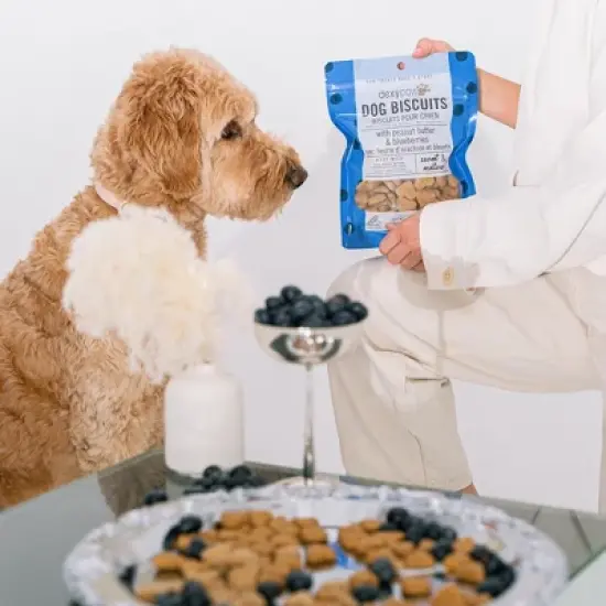 Dexypaws Peanut Butter & Blueberry Dog Biscuits 12oz &ndash; Natural image {6}