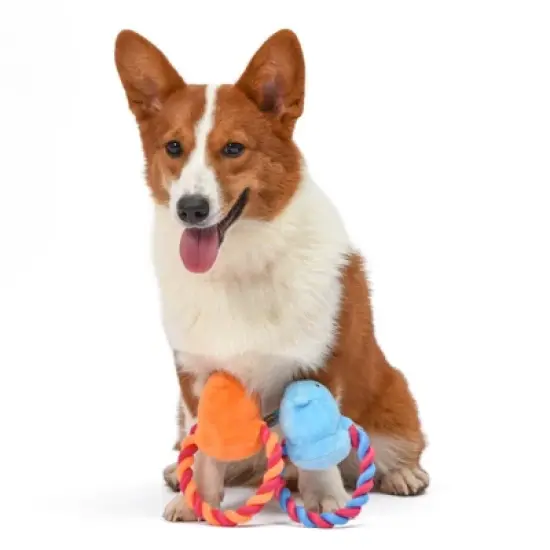 Peeps Squeaky Rope Dog Toys (Blue Chick) image {2}