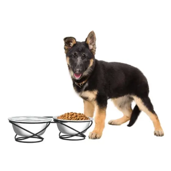 Set of 2 Elevated Dog Bowls - Stainless-Steel 40-Ounce Food and Water Bowls for Dogs and Cats in a Raised 3.5-Inch-Tall Decorative Stand by PETMAKER image {8}