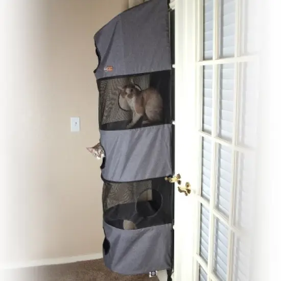 Hangin' Cat Condo image {1}