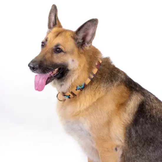 Country Brook Petz 1 1/2 Inch Native Arizona Martingale Dog Collar image {2}