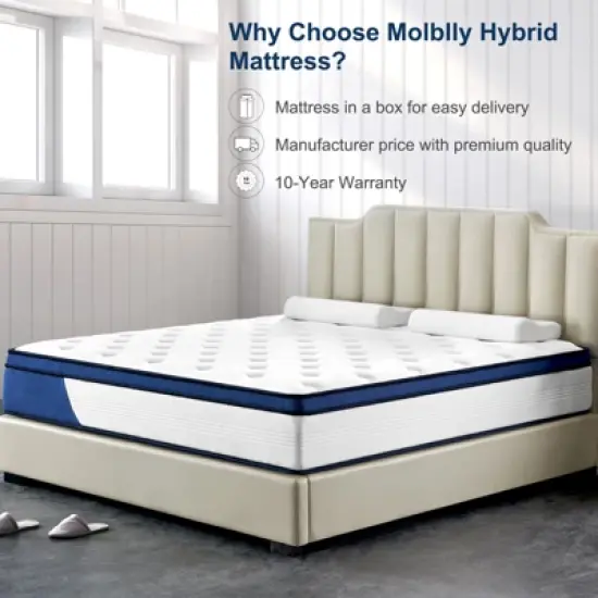 Wuleitex store 10 " Pocketed Coil Hybrid Mattress image {6}