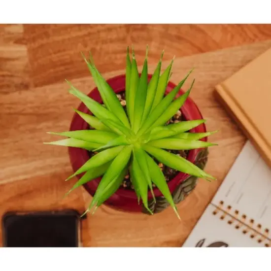 Silver Buffalo The Office Schrute Farms Rustic 8-Inch Planter With Artificial Succulent image {4}