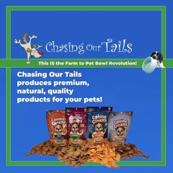 Chasing Our Tails Bully Stick 6-inch Jumbo Cigar Band for Dogs 1 Count image {2}