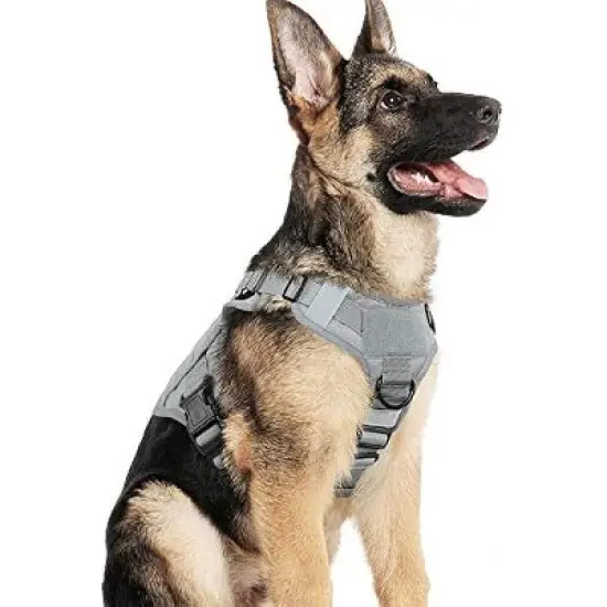 rabbitgoo Dog Harness No image {9}