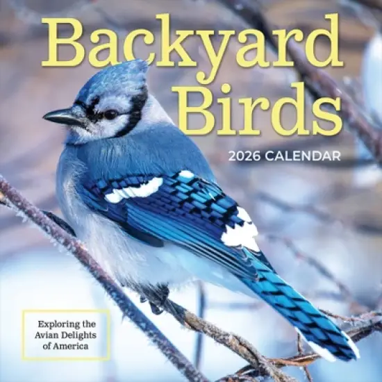 TF Publishing 13.5"x14.5" 2026 Backyard Birds Wall Calendar image {1}
