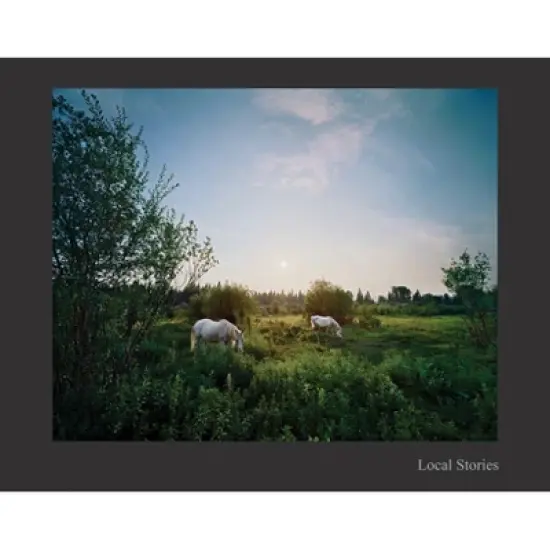 Jerry Spagnoli: Local Stories - (Hardcover) image {1}