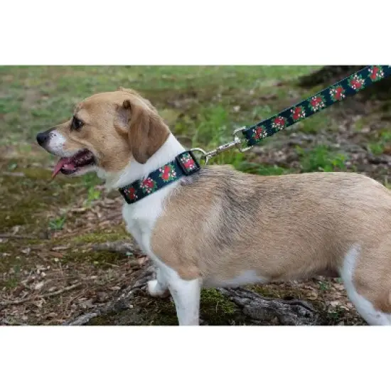 Country Brook Petz Deluxe Black Candy Cane Dog Collar and Leash image {1}