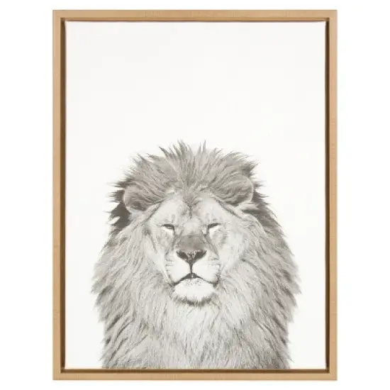 24" x 18" Lion Framed Canvas Art - Uniek image {4}