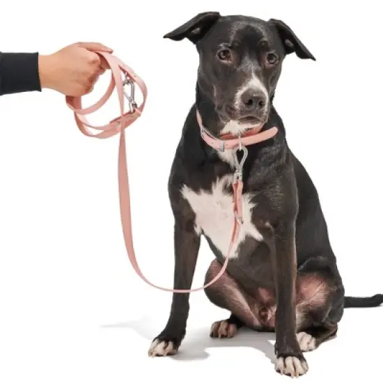 Wild One Water Dirt Resistant & Adjustable Dog Leash image {1}