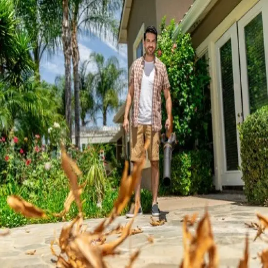 Worx WG547.1 Turbine Two Speed Cordless Leaf Blower image {6}