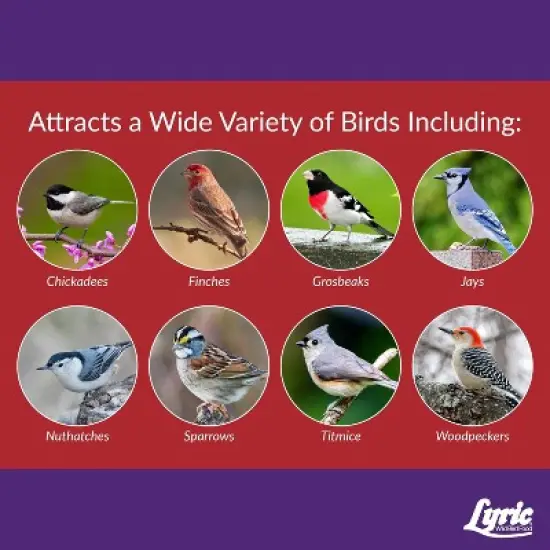 Lyric 20lb Delite Shell-Free Nuts & Seeds No Waste Wild Bird Food: Attracts Songbirds, For Patios & Gardens image {5}