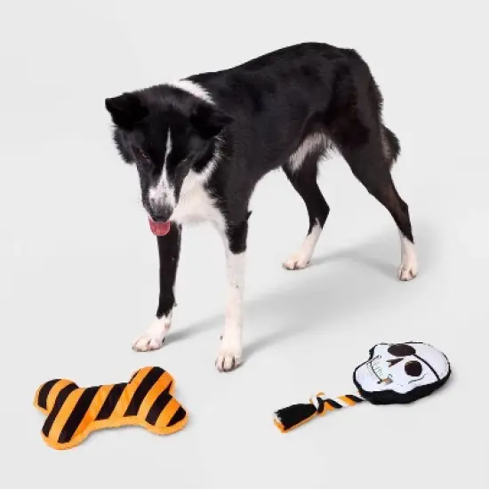 Skull and Bone Dog Rope Plush Toy Set - 2pk - Boots & Barkley&trade; image {3}