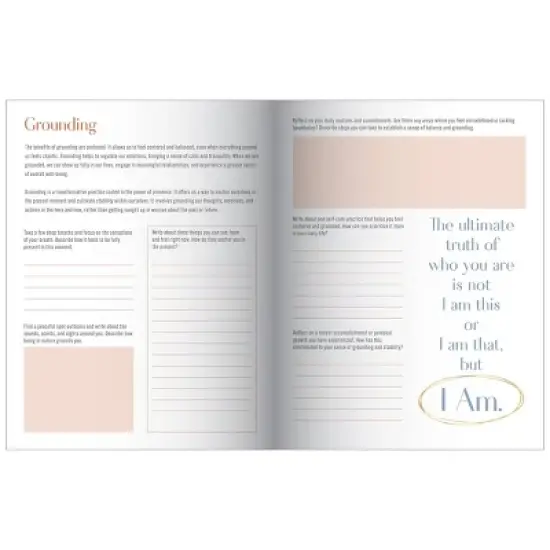 Top Flight The Beginning Guided Journal image {11}