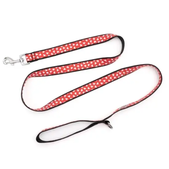 The Worthy Dog Be Mine Dog Leash image {2}