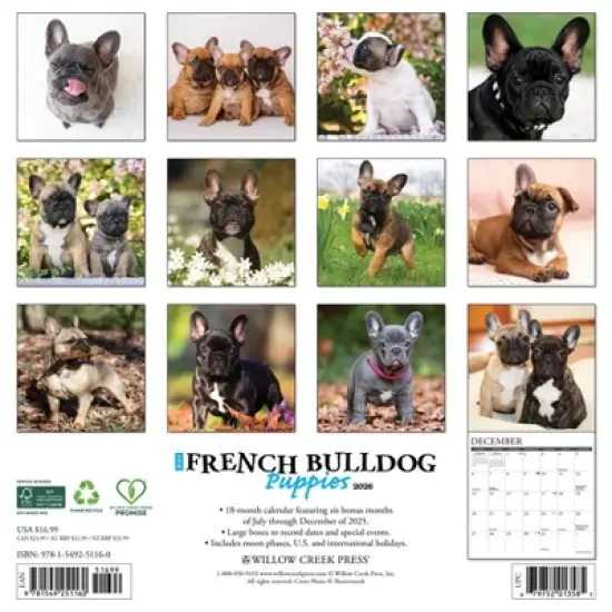 Willow Creek Press 2026 French Bulldog Puppies Wall Calendar image {1}