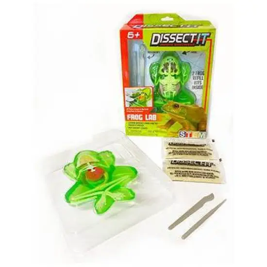 Top Secret Toys Dissect It - Frog Nature Exploration Toy image {4}