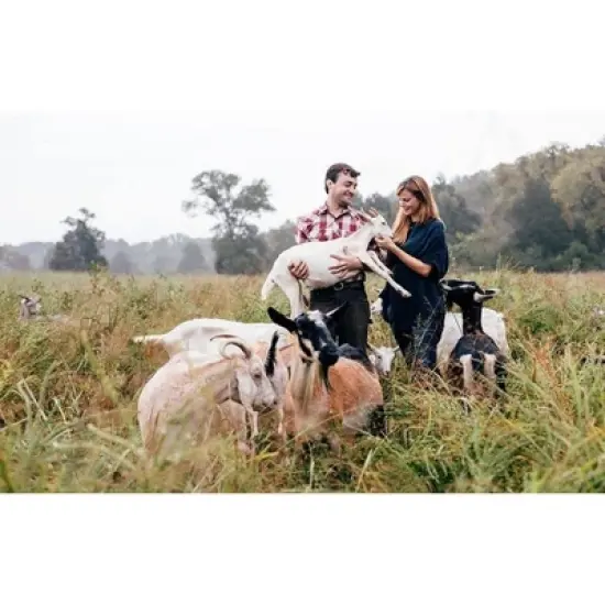 Little Seed Farm All Natural Deodorant Cream, Aluminum Free Deodorant for Women or Men - Blue Tansy Rose (2.4 oz) - (PACK OF 2) image {3}