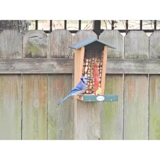 JCs Wildlife Double Snacker Squirrel Feeder image {8}