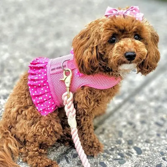 Parisian Pet 'Polka Dot Harness' Dress for Dogs & Cats &ndash; Fashionable Pet Dress with Adjustable Harness, Comfortable Fit, Pink image {1}
