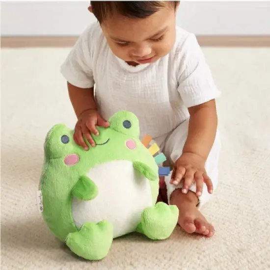 Itzy Ritzy Sweetie Snuggles Plush Stuffed Animal - Frog image {2}