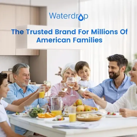 Waterdrop EDR4RXD1 Replacement for EveryDrop Filter 4, 2 Filters image {8}