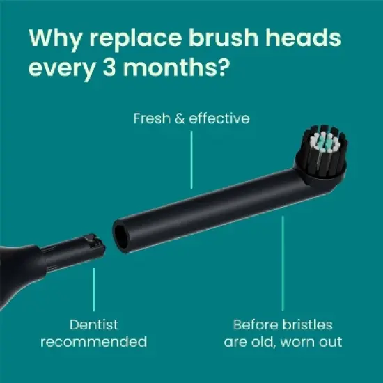 quip Rev Oscillating Brush Head Refill - 2pk image {3}