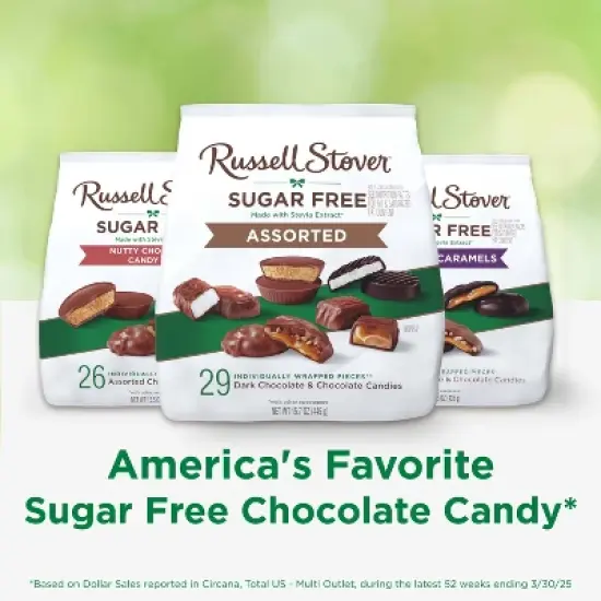 Russell Stover Sugar Free Candy Assorted - 15.7oz image {3}