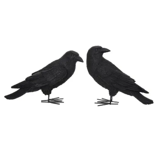 Transpac Resin Fright Night Crow Set of 2 Decorative Objects for Halloween Home Decor image {1}