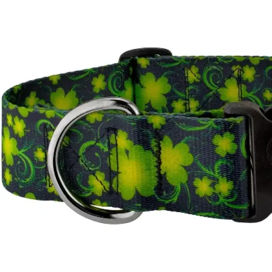 Country Brook Petz HossFit Jr Wide Deluxe Dog Collar - Irish Pride Collection image {3}
