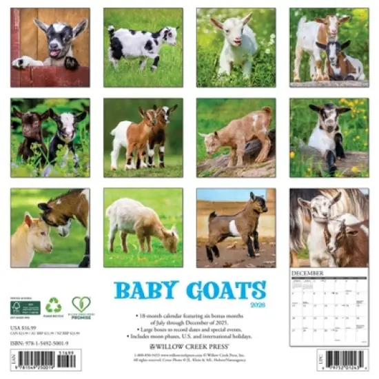 Willow Creek Press 2026 Baby Goats Wall Calendar image {1}