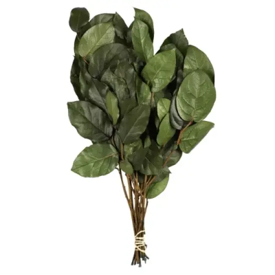 Vickerman 16-22" Natural Botanicals Salal Foliage Bunch image {4}
