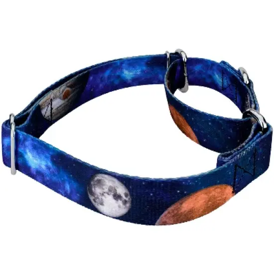 Country Brook Petz Galactic Neighbors Martingale Dog Collar image {2}