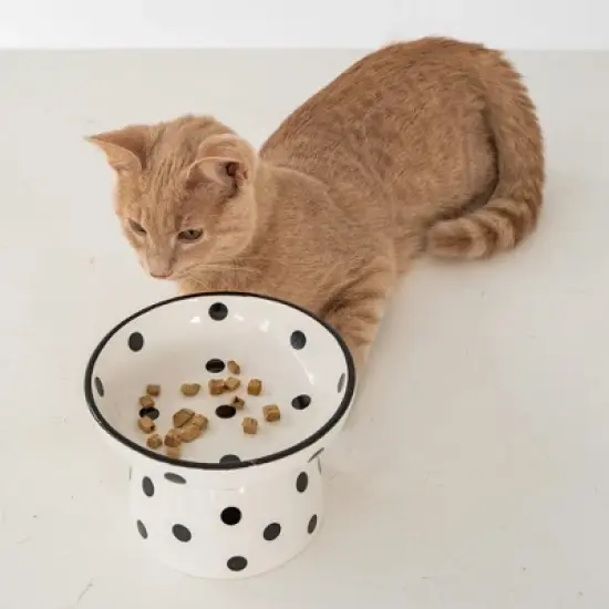Dexypaws: Elevated Ceramic Cat Bowl, White & Black Polka Dots,8.7oz image {2}