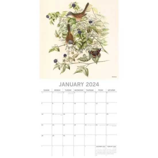 The Gifted Stationery 2024 Square Wall Calendar, Garden Birds (Illustrated), 16-Month Bird Theme with 180 Reminder Stickers (12 x 12 In) image {1}