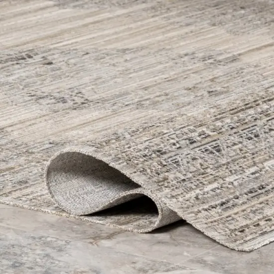 nuLOOM Deena Vintage Machine Washable Indoor/Outdoor Area Rug image {3}