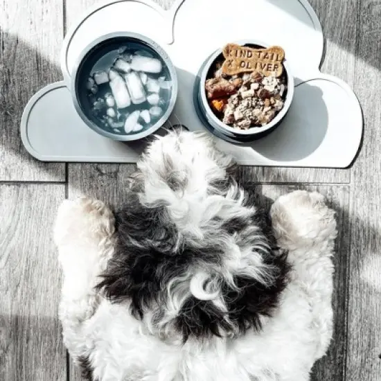 KindTail Portable 2pc Dog Bowl Set  image {7}